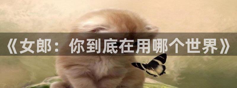 omofun电脑端