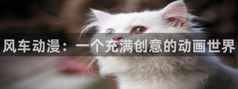 omofun动漫在线观看动漫最新版本更新