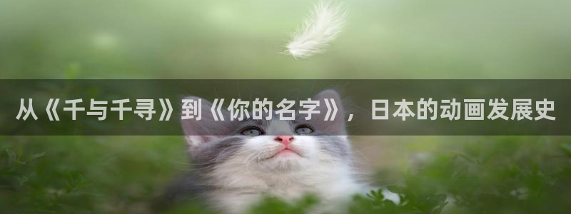omofun漫画官网入口：从《千与千寻》到《你的名字》，日本的动画发展史