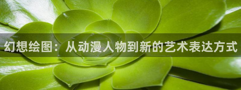 omofun网页版免费：幻想绘图：从动漫人物到新的艺术表达方式