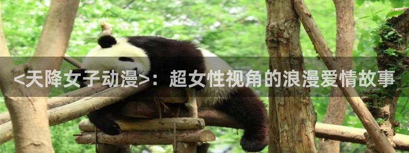 omofun下载官网入口：<天降女子动漫>：超女性视角的浪漫爱情故事