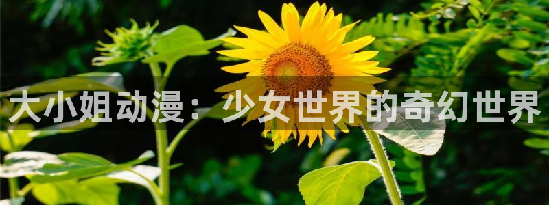 omofun官网入口下载：大小姐动漫：少女世界的奇幻世界