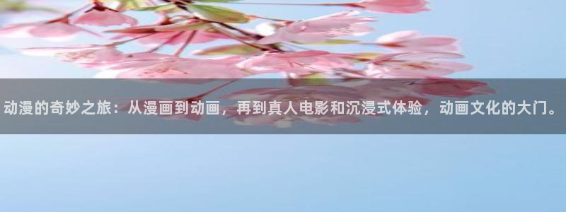 omofun 网站
