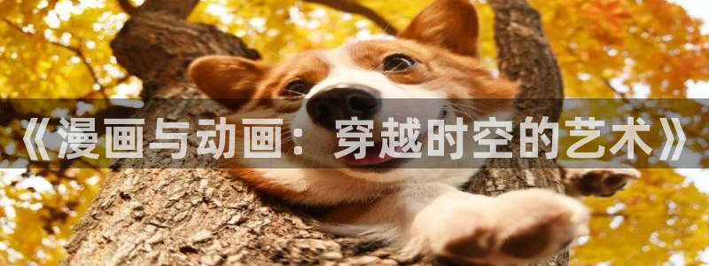 omofun动画网