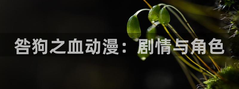 omofun下载的视频在哪