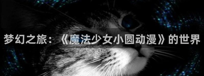 omofun动漫正版