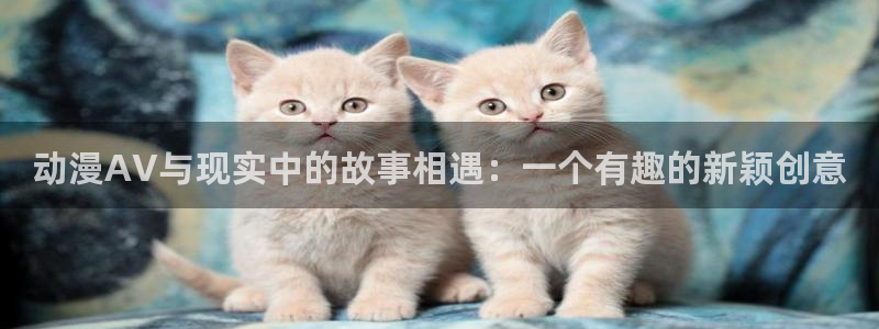 omofun 网站
