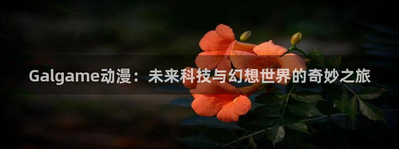 omofun动漫官网在线观看