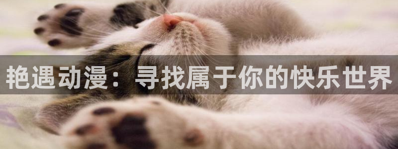 omofun动漫下载最新版