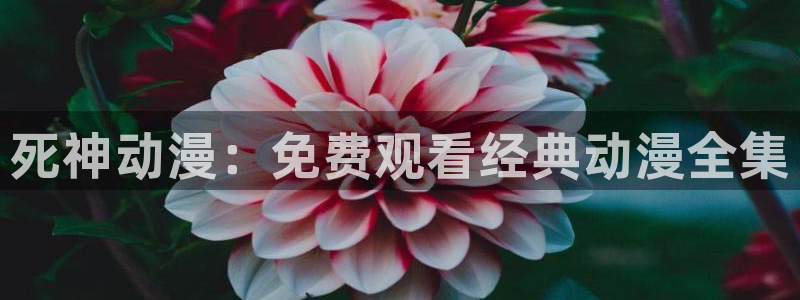 omofun安卓：死神动漫：免费观看经典动漫全集