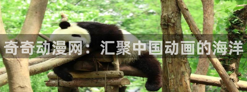 omofun免签：奇奇动漫网：汇聚中国动画的海洋