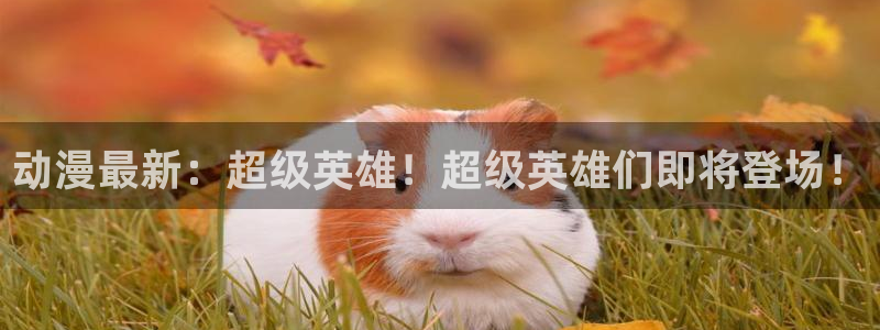 omofun正版下载ios：动漫最新：超级英雄！超级英雄们即将登场！